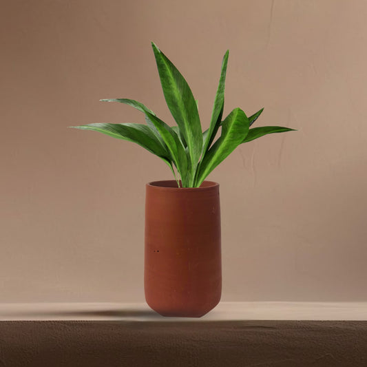 Handcrafted Cylinder Shape Clay Pot | 8 Inch