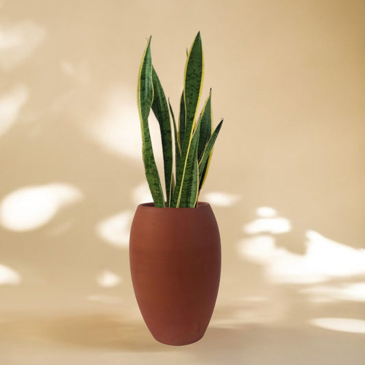 Handcrafted Barrel Shape Clay Pot | 8 Inch