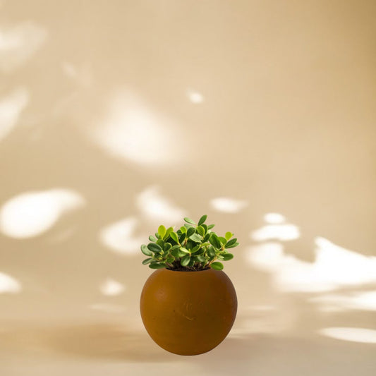 Handcrafted Round Clay Pot | 5 Inch