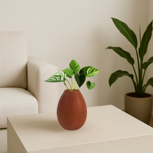 Handcrafted Oval Clay Pot | 5 Inch
