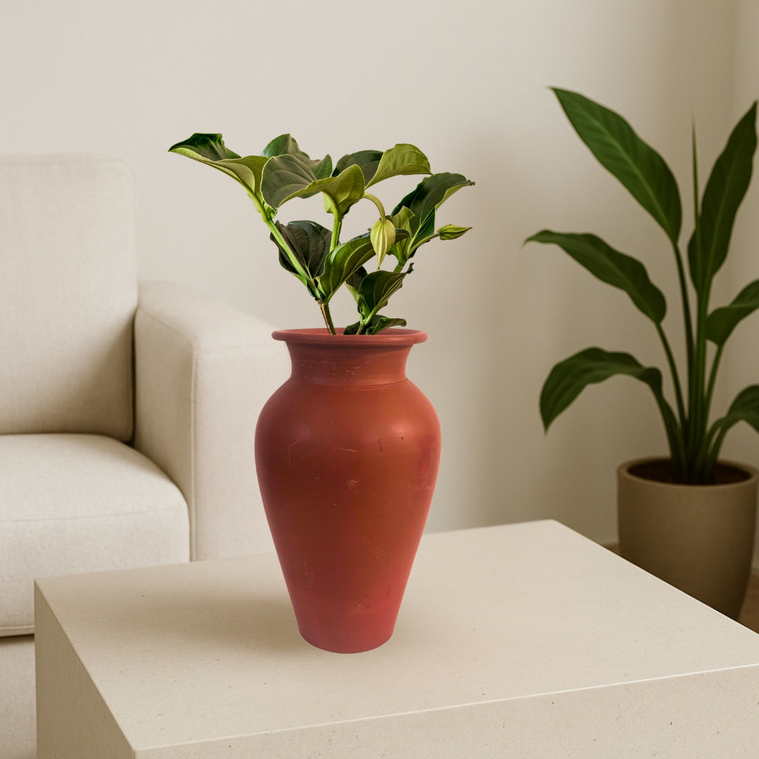 Handcrafted Classic Clay Pot | 11 Inch