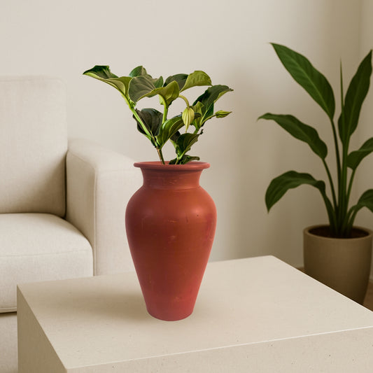 Handcrafted Classic Clay Pot | 11 Inch